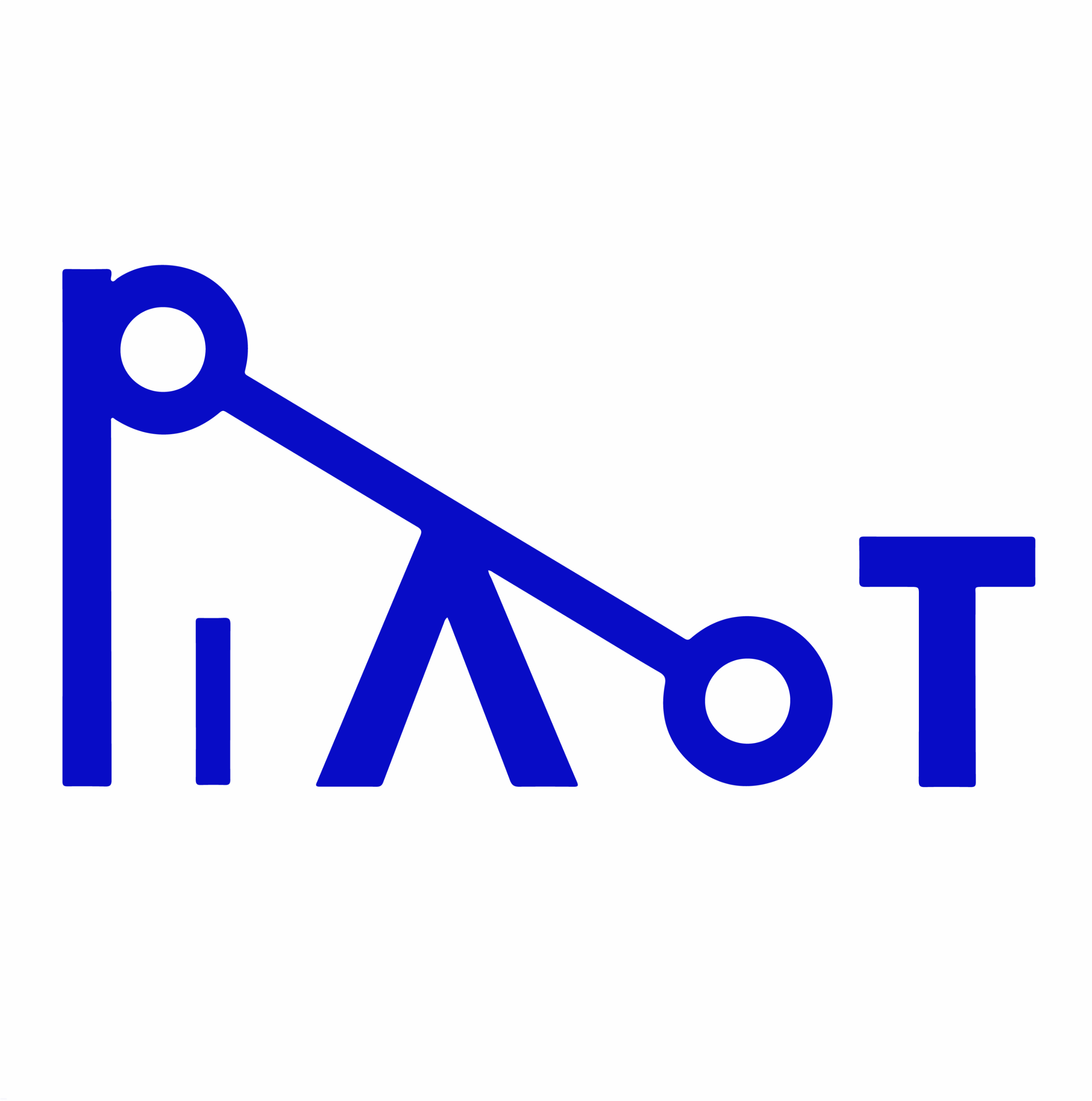 Site by PiVoT Pro. Services